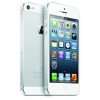 Apple Apple iPhone 5 16 Go Blanc et argent Apple