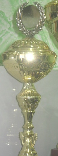 Coupe trophée  24 cm